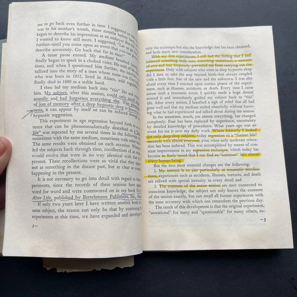 Voices From Other Lives by Thorwald Dethlefsen - Picture 9 of 10